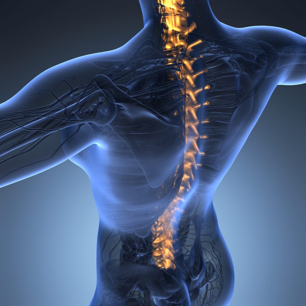 spine injury